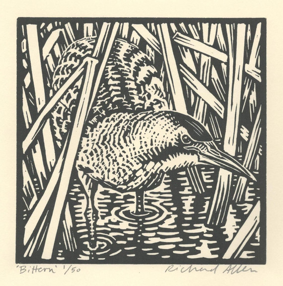 010 - Bittern
