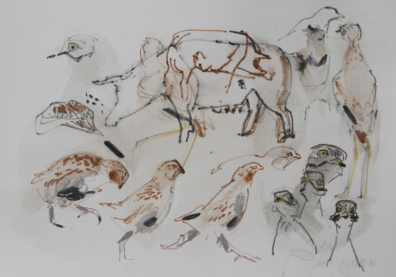 180 - Amongst the pigs and the Partridges