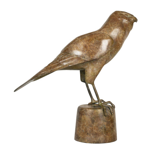 207 - Spotted Harrier