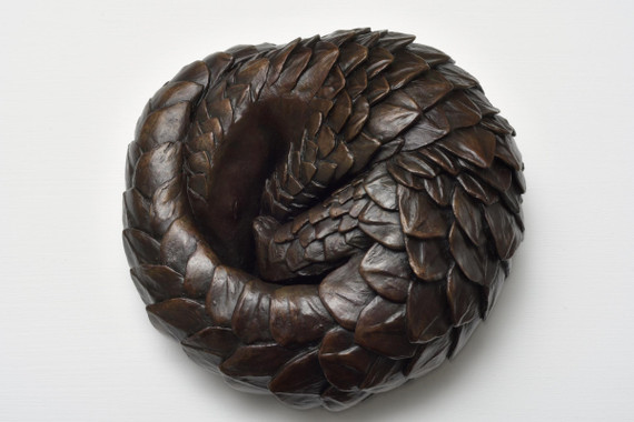 227 - Pangolin