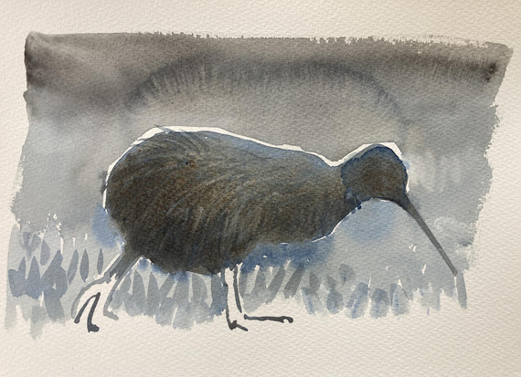 257 - Midnight Kiwi