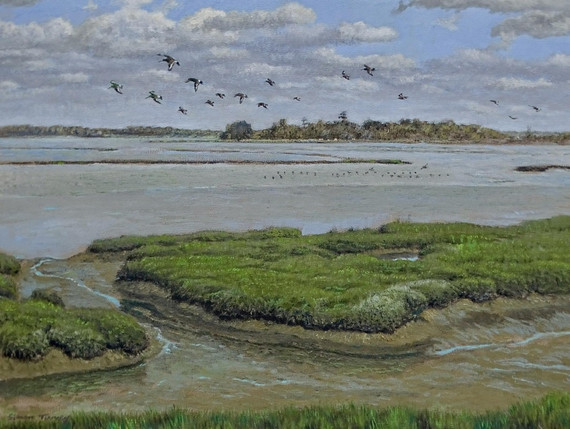 325 - Godwits on the Alde, Suffolk