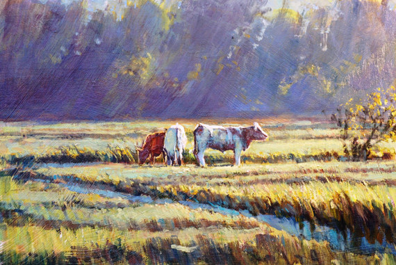 153 - September Sun, Halvergate