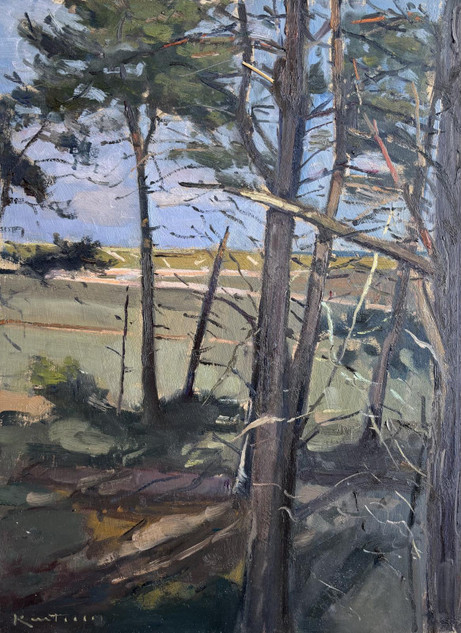 290 - Through the Trees to the Sea