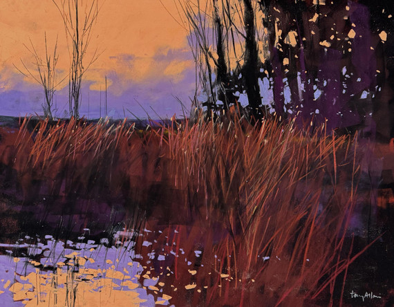 008 - Evening Light at Templemill