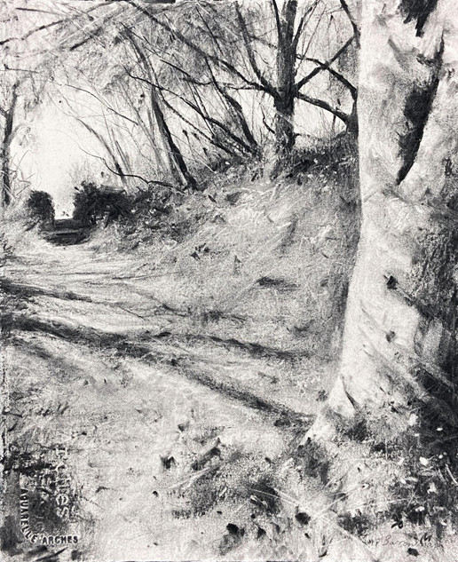 045 - Autumn Walk, Trelowarren, Cornwall