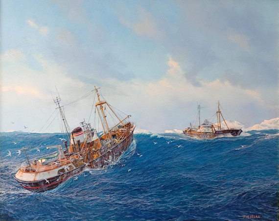 226 - Trawling the Northern Seas