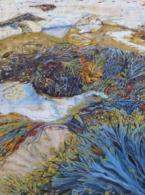 238 - Pools of Bladderwrack