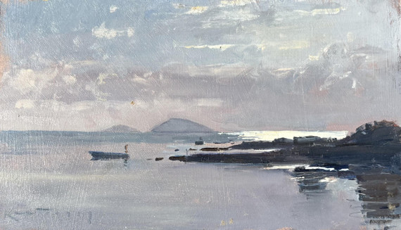 337 - Morning Fisherman, Mauritius
