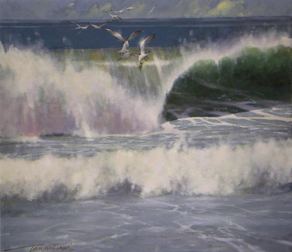 367 - Seagull with Crab at Westward Ho!