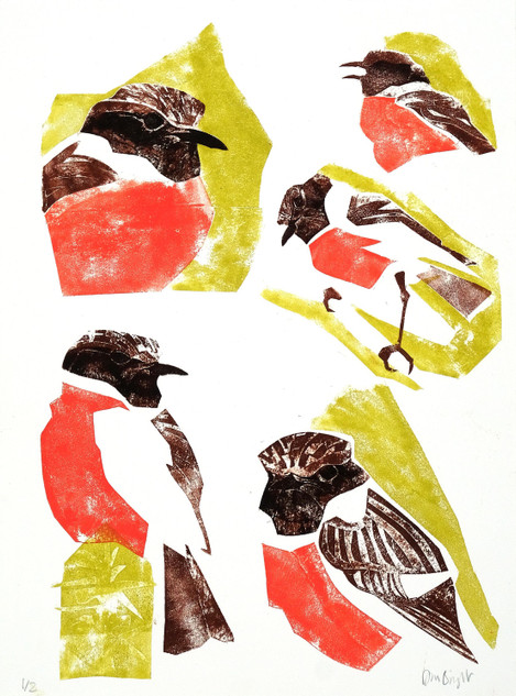 045 - Stonechat studies