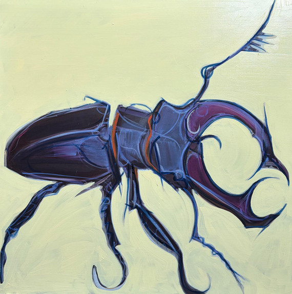 061 - Stag Beetle