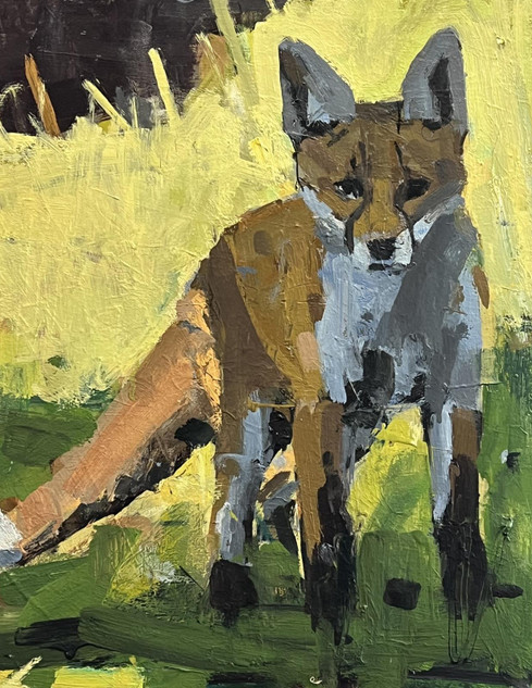 070 - Fox cub in the garden