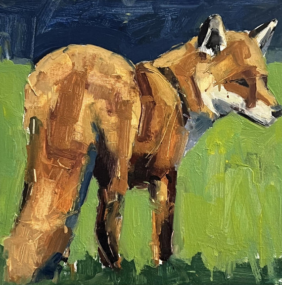 072 - Garden Fox