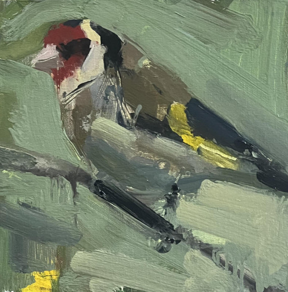 073 - Goldfinch
