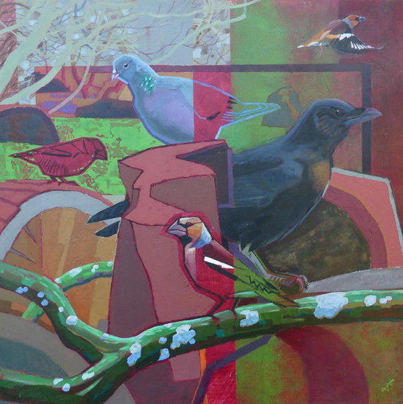 087 - Hawfinch, Stock Dove and Carrion Crow at Lynford Arboretum