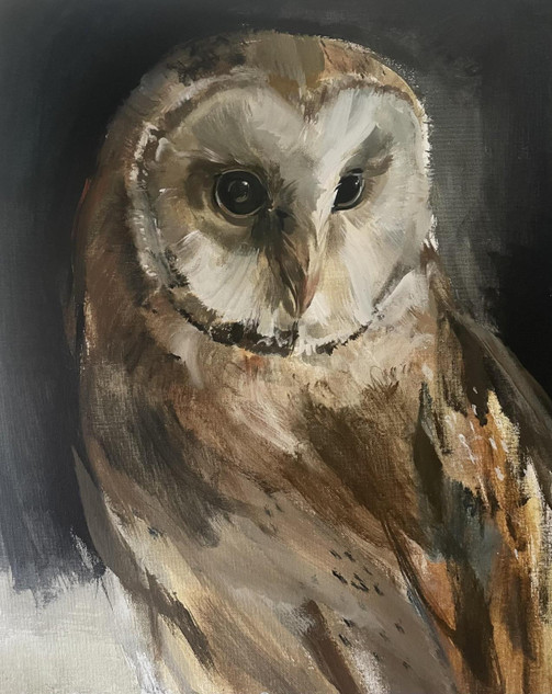 090 - Barn Owl study