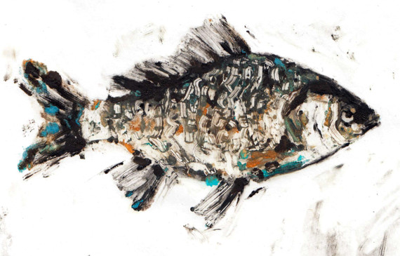 091 - Carp study I