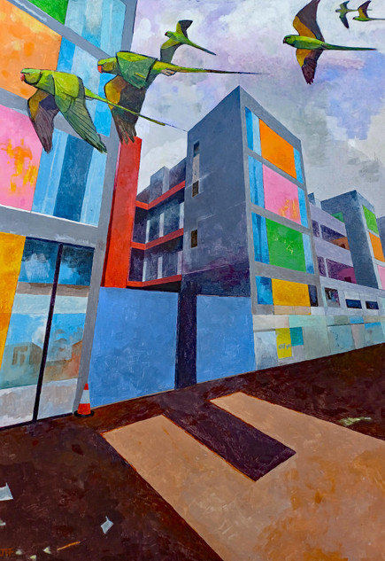 097 - Parakeets in place 1