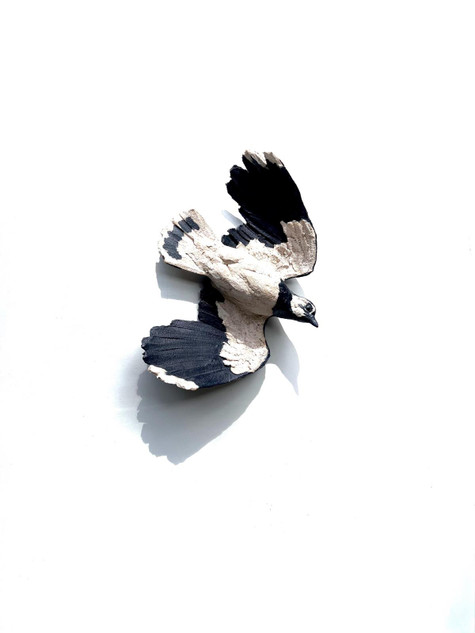 115 - Flying Lapwing 1