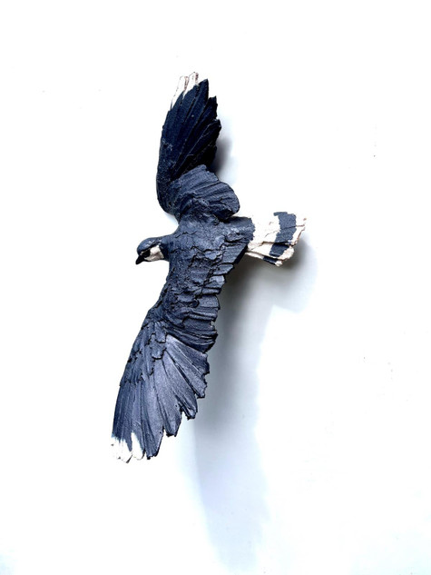 116 - Flying Lapwing 2