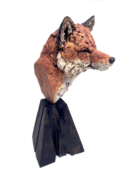 117 - Fox portrait
