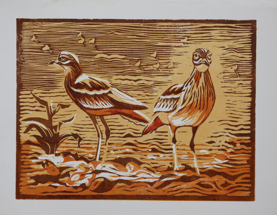 134 - Stone Curlew in the sun