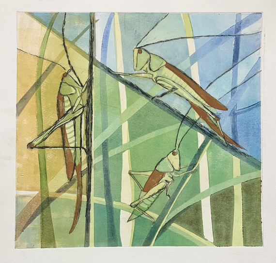 144 - Long-winged Coneheads