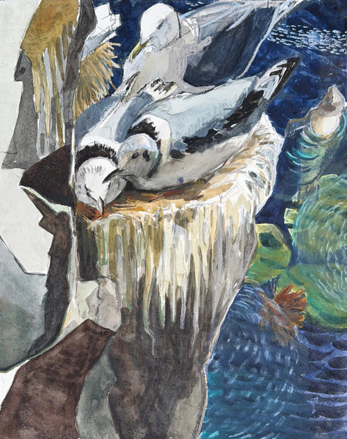 153 - Kittiwake nest, Lady’s Bed, Isle of May