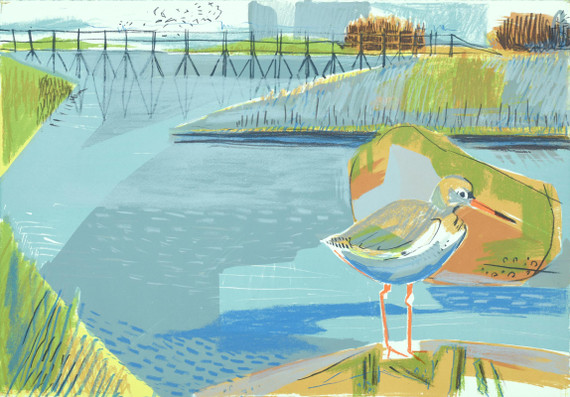 164 - At the bay's edge