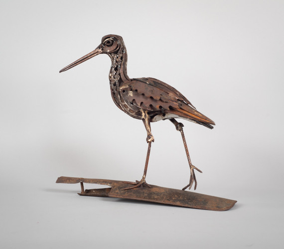 204 - Blade tailed Godwit