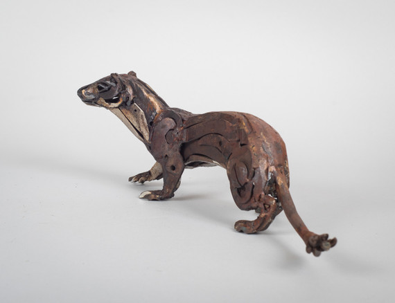 206 - Drill tailed Stoat