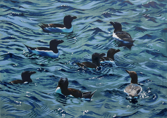 210 - Raft of Auks