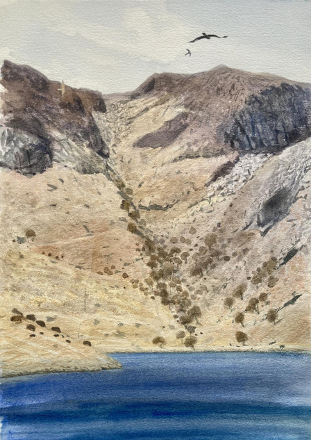 245 - Kestrels and Eagle, Loch Katrine