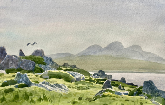 249 - Towards Jura, White-tailed Eagle