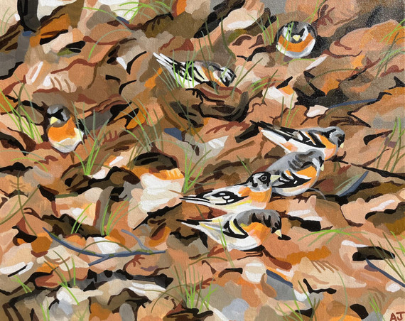 260 - Leaf litter