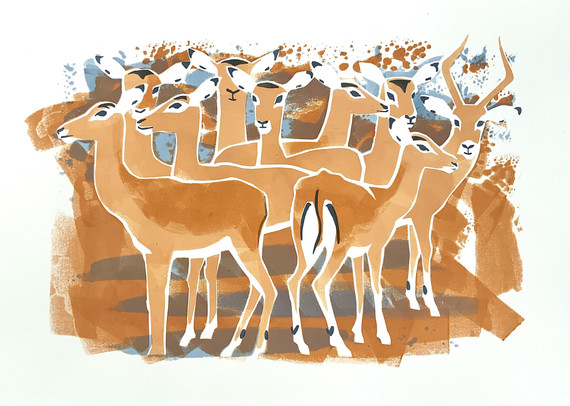 284 - Impala