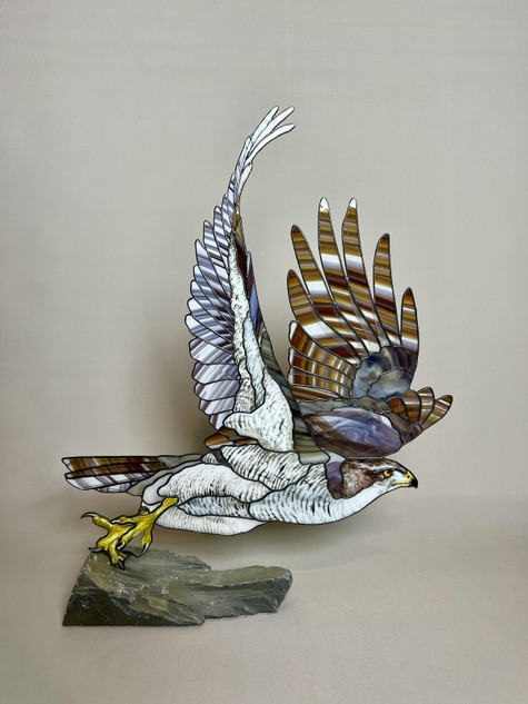 288 - Goshawk