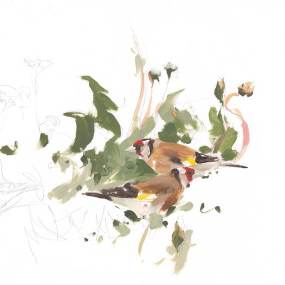322 - Goldfinch and Dandelions