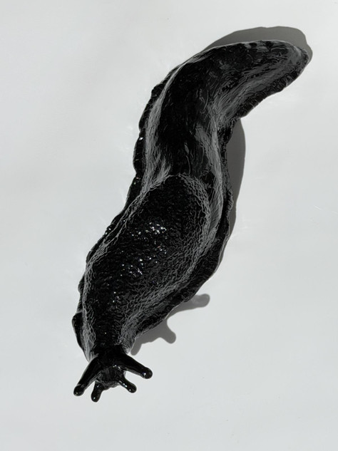 333 - A bigger slug XIV