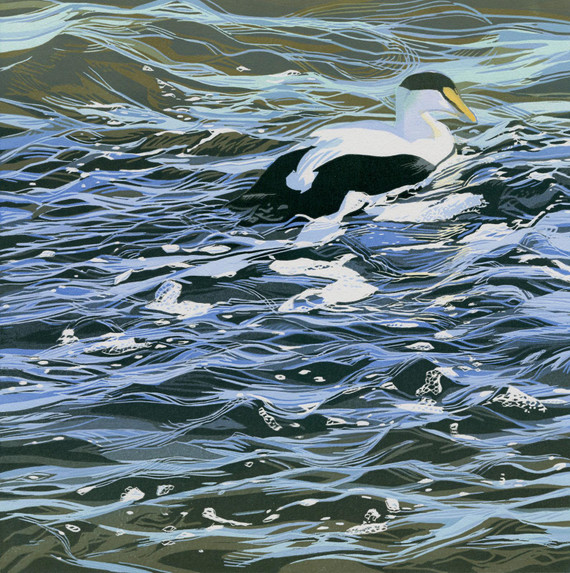 356 - In the shallows