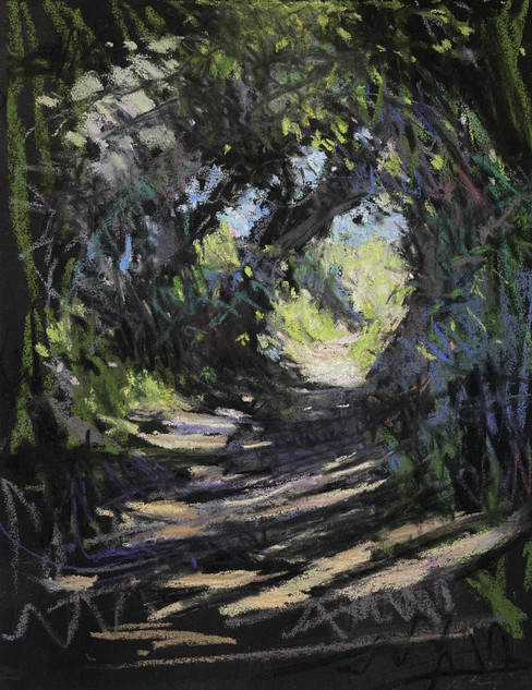 124 - Spring - Pembrokeshire Hedgerow