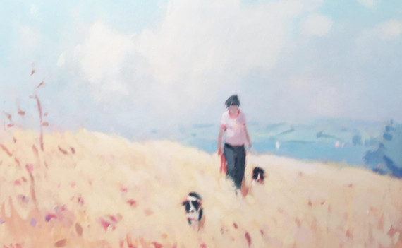 080 - Walking the Collies Exe Estuary