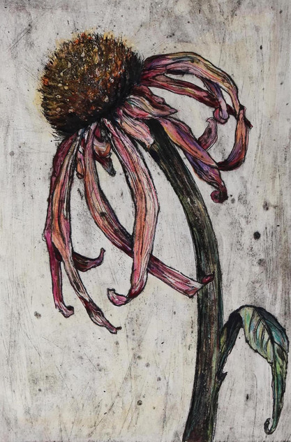 316 - Fading Elegance