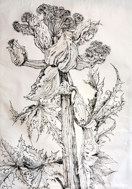 315 - Dangerous Weeds