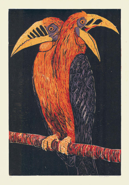 240 - Two-Headed Hornbill