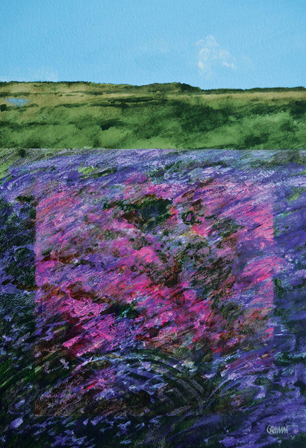 213 - North York Moors near Whitby