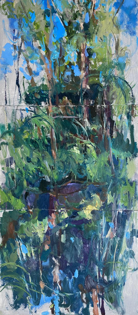 186 - Little Rocky Creek, Gubbi Gubbi Site QLD