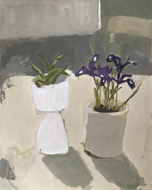 218 - The First Iris