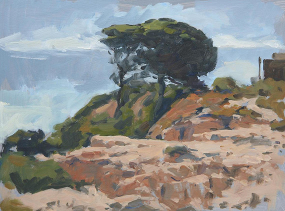 034 - Camilo Pines, Cloudy Morning